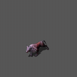 豺狼.gif